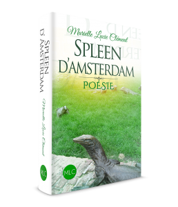 Spleen amsterdam 3D